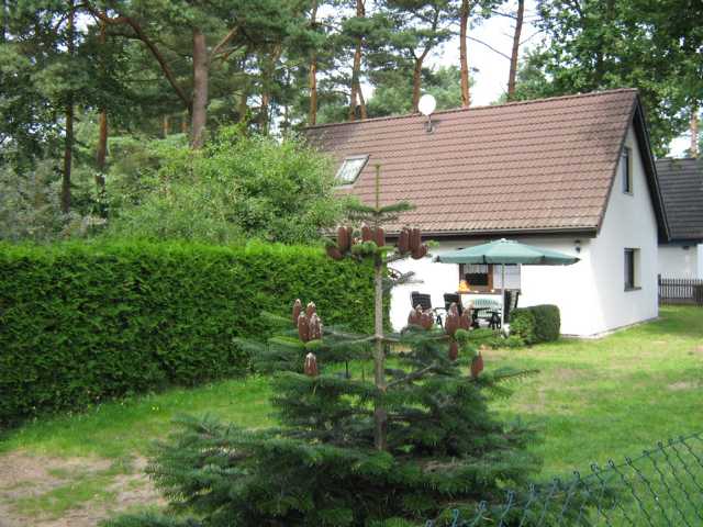 Ferienhaus Ostsee-Urlaub mit Hund auf Walgr.