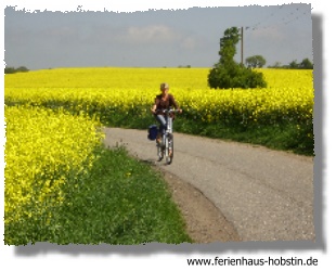 Unterkunft Ferienhaus Ferienhaus Hobstin