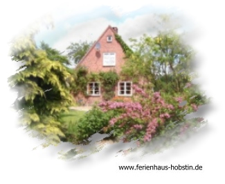  Ferienhaus Hobstin