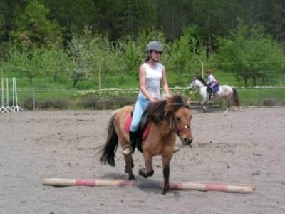 Appartement Familienzimmer auf Pony/Pferdehof