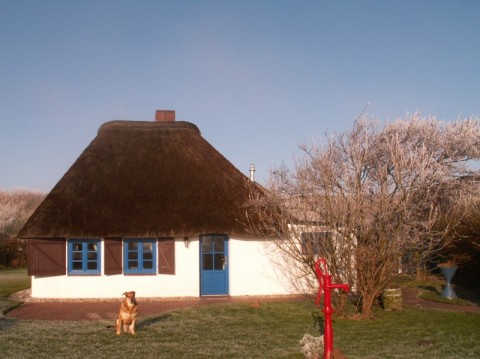 Ferienhaus Fischerkate am Strand 