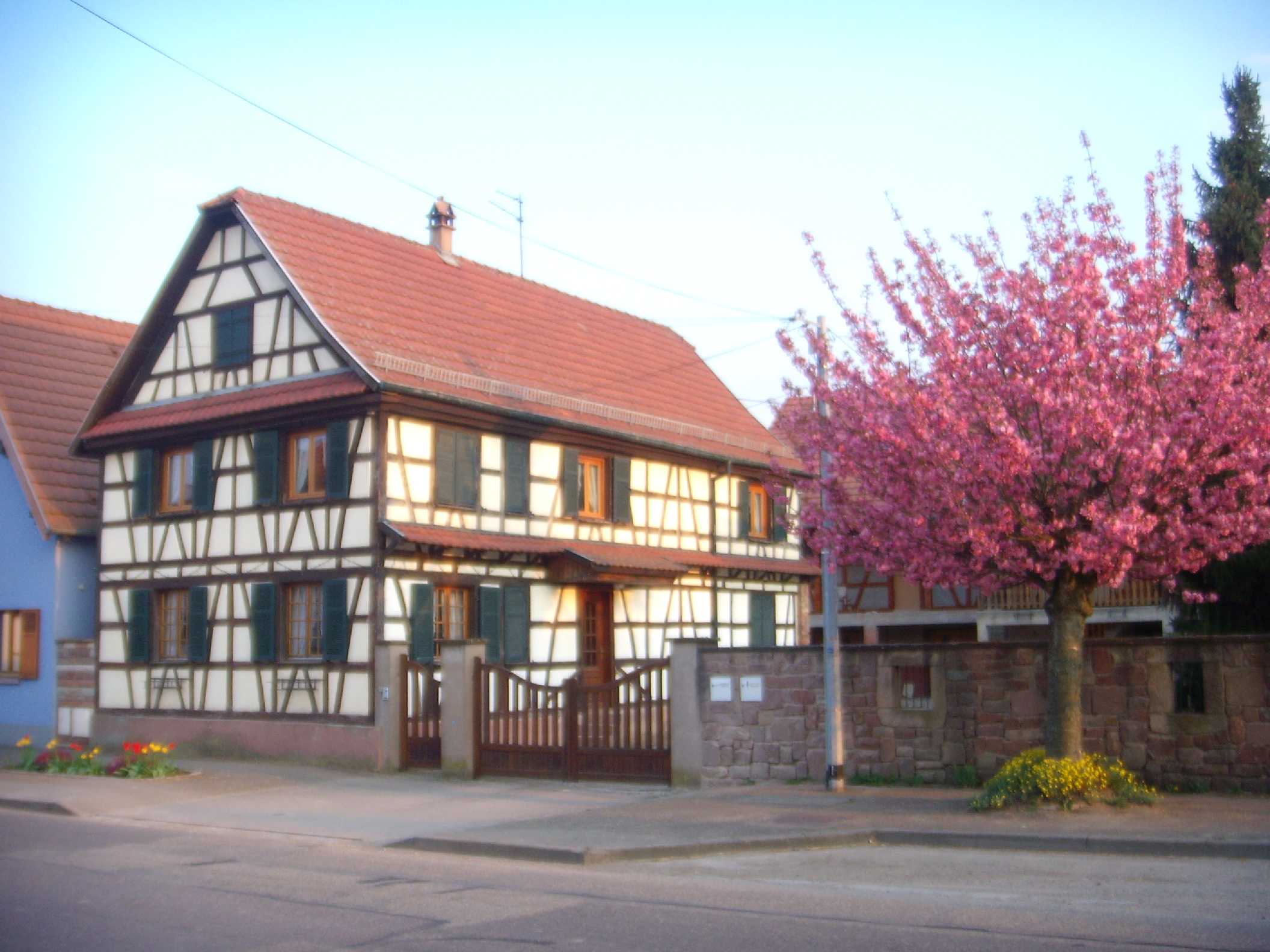 Ferienhaus Ferienhaus Krauffel 8 pers im Elsass