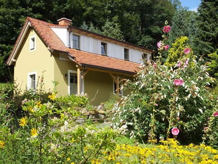  Ferienhaus Waldhaus Bielatal