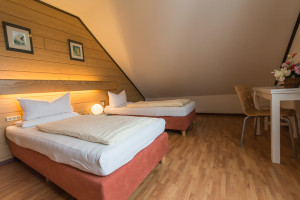 Ferienwohnung Pension Tannenhof