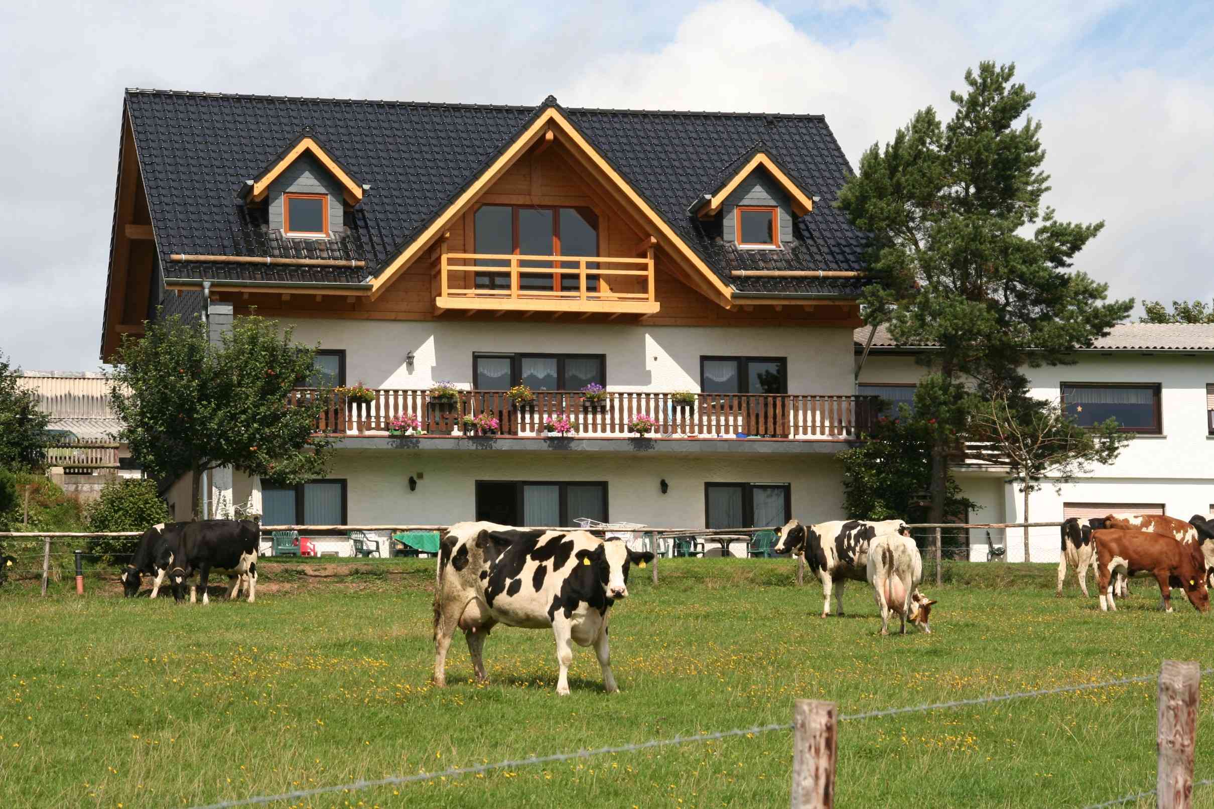 Unterkunft Ferienwohnung Ferienwohnung