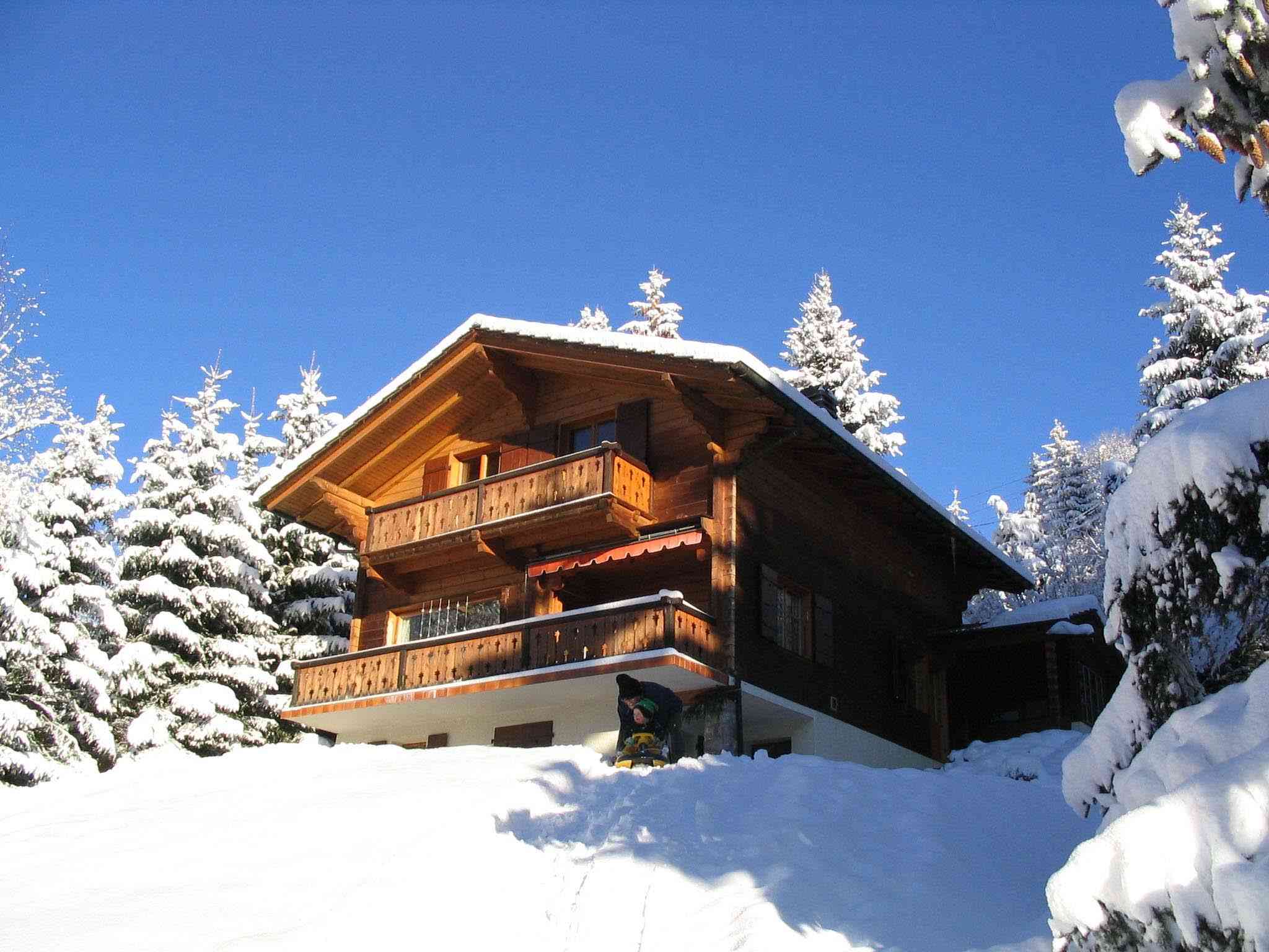 Unterkunft Ferienhaus Chalet Les 2 Sapins