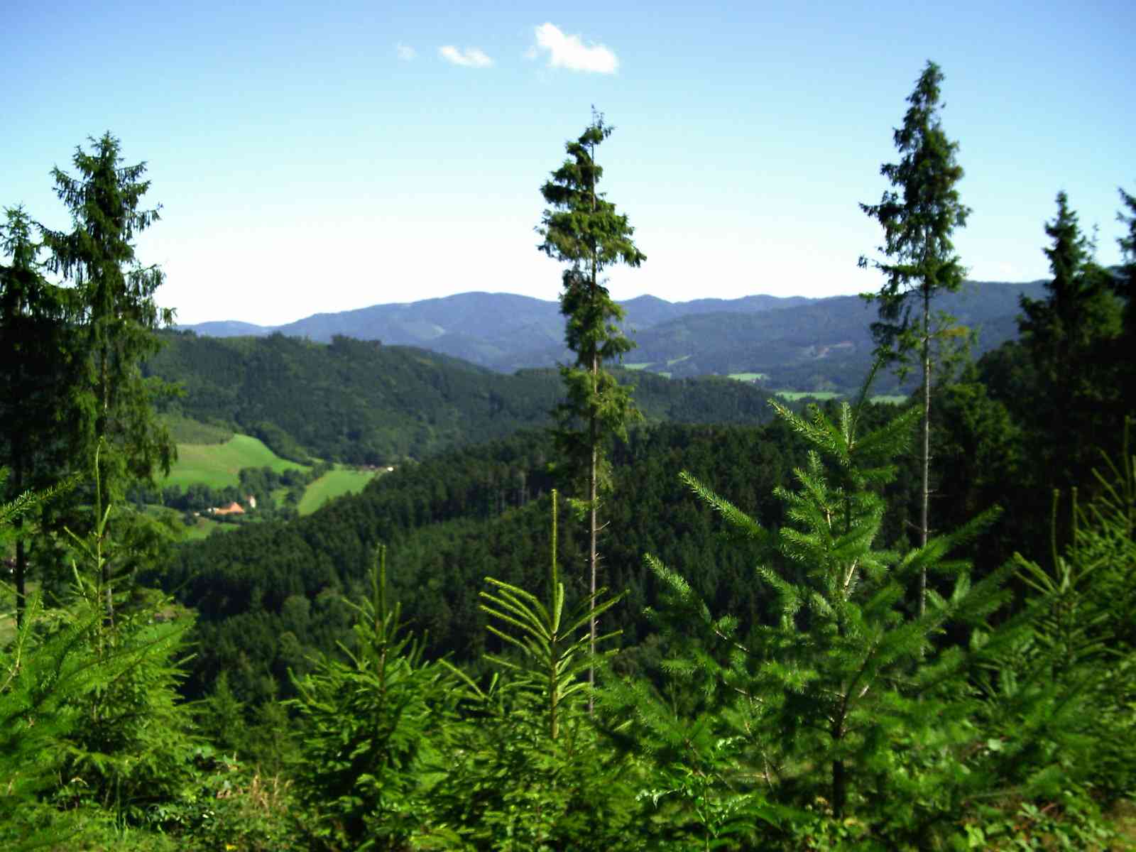 Unterkunft in Baiersbronn