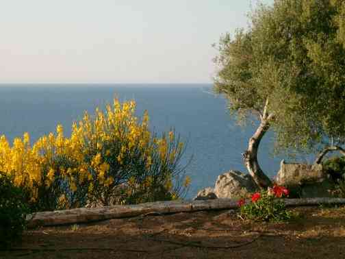 Unterkunft in Ile Rousse