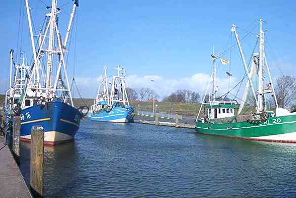 Unterkunft in Friedrichskoog