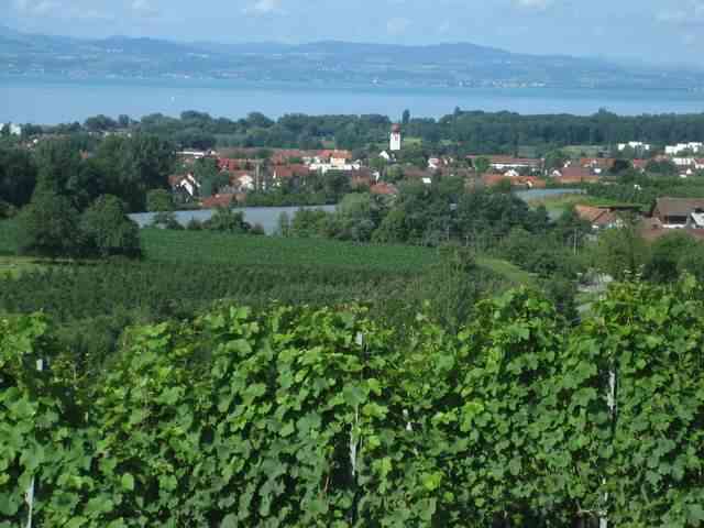 Ferienort Kressbronn am Bodensee