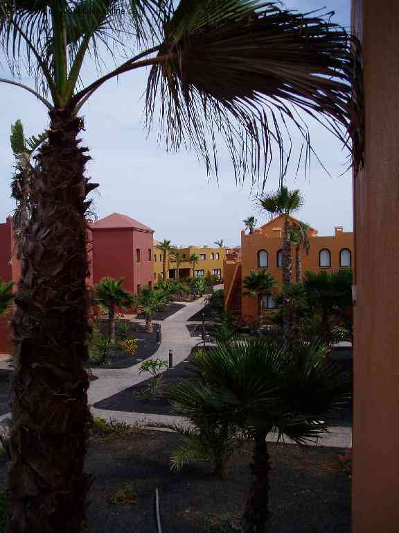 Ferienwohnung Oasis Tamarindo auf Fuerteventura
