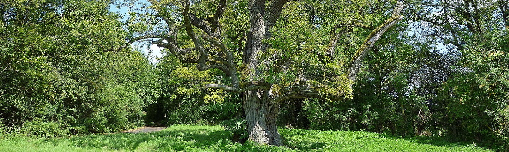 Unterkünfte in Wasserlosen