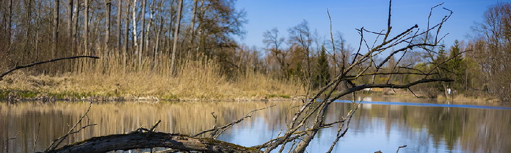 Unterkünfte in Aderstedt