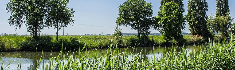 Unterkünfte in Bergrheinfeld