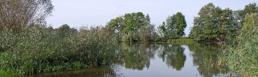 Unterkünfte in Dannenberg (Elbe) Gmse