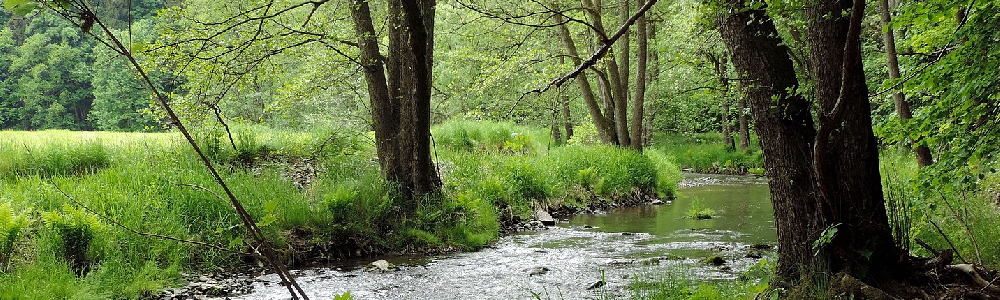 Unterkünfte in Striegistal