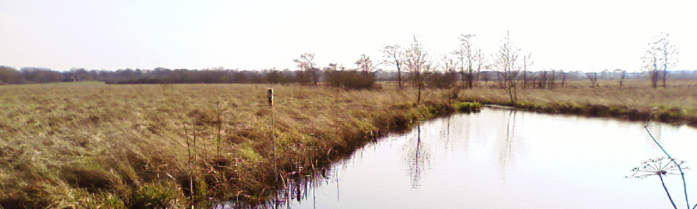 Unterkünfte in Tielenhemme