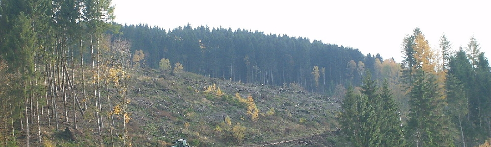 Unterkünfte in Krhenberg