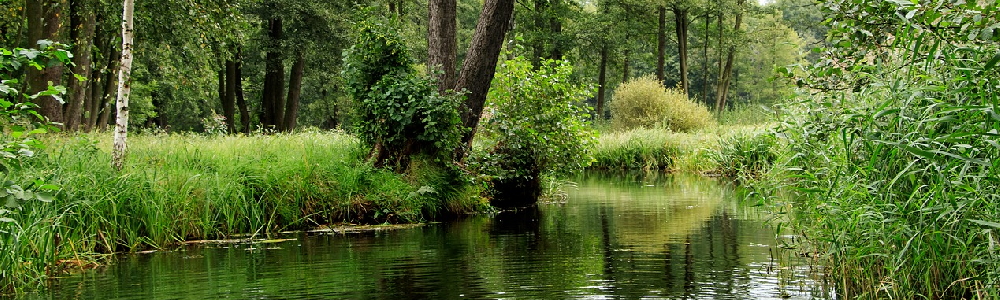 Unterkünfte in Lbben (Spreewald)