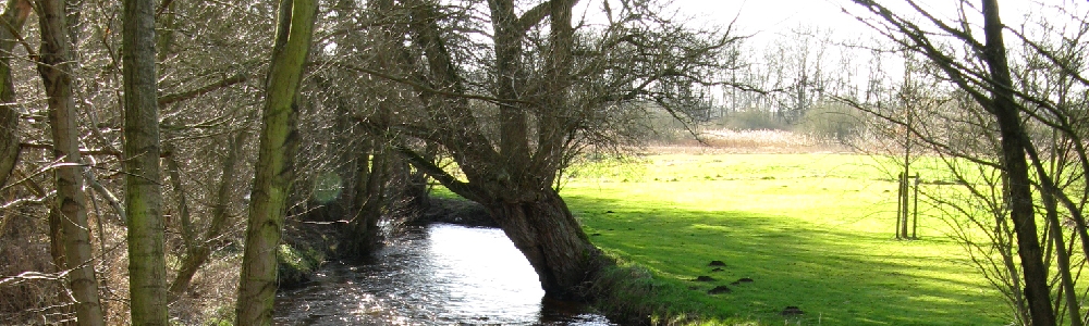 Unterkünfte in Bandenitz