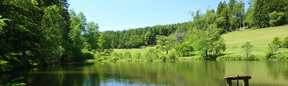 Unterkünfte in Dietzhlztal