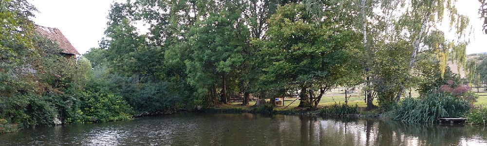 Unterkünfte in Bad Harzburg Westerode