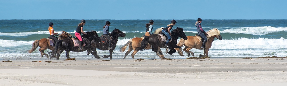 Unterkünfte Friesland