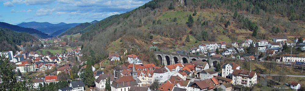 Unterkünfte in Hornberg