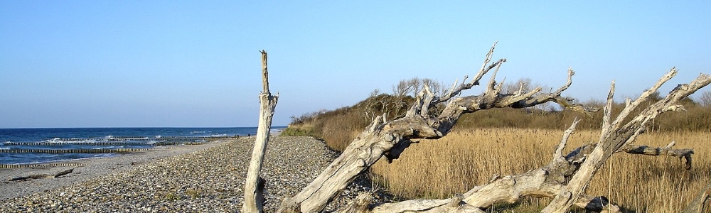 Unterkünfte in Brgerende-Rethwisch