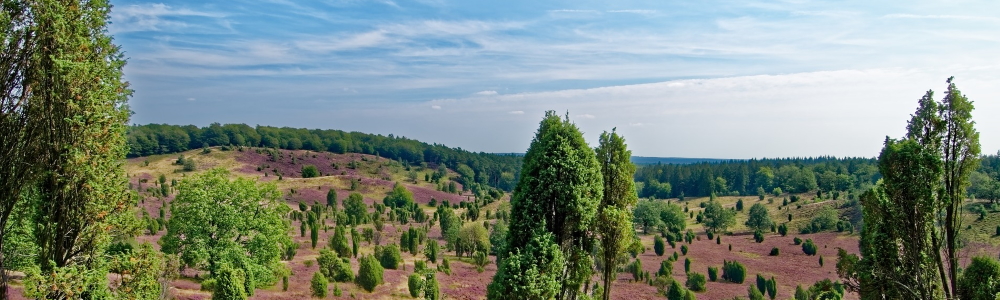 Unterkünfte Lneburger Heide