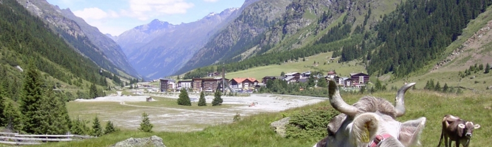 Unterkünfte in St. Leonhard im Pitztal