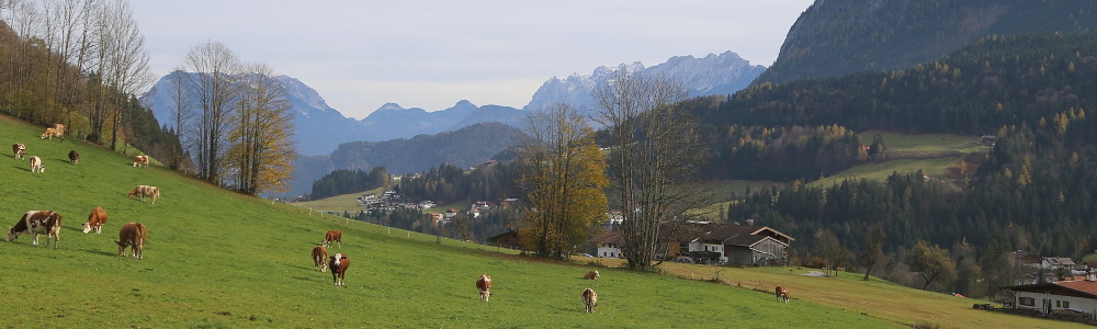 Unterkünfte in Thiersee