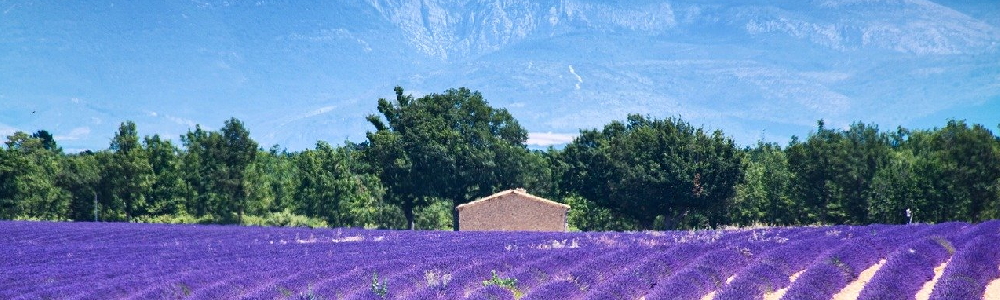 Unterkünfte Provence-Alpes