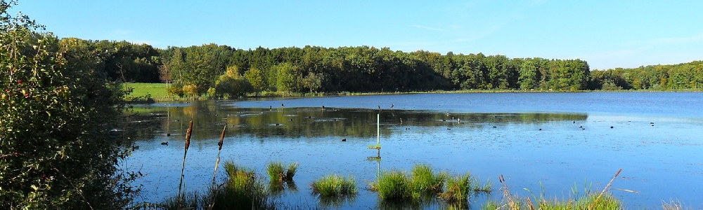 Unterkünfte in Niederdrenbach