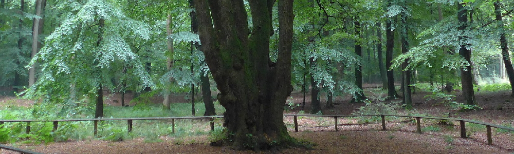 Unterkünfte in Odderade