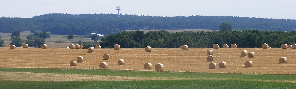 Unterkünfte in Diekhof