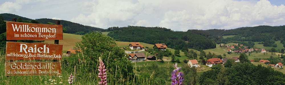 Unterkünfte in Raich