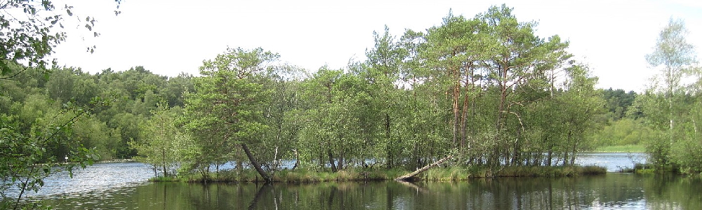 Unterkünfte in Ldersdorf