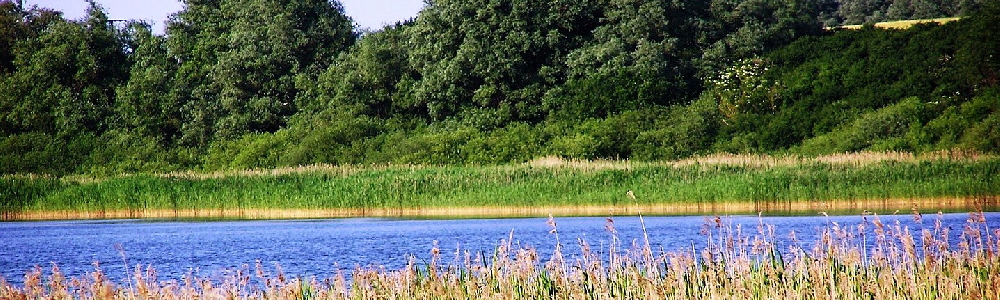 Unterkünfte in Bartelshagen II