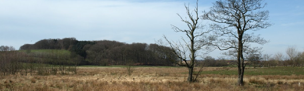 Unterkünfte in Techelsdorf