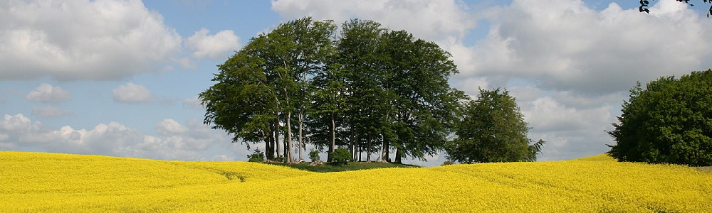 Unterkünfte in Westensee