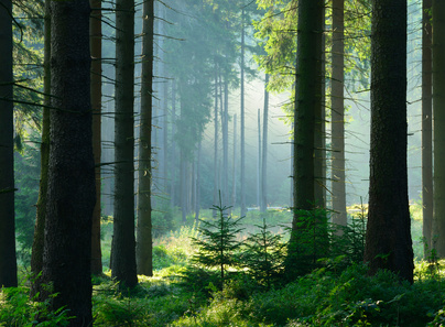 unterkunft im harz