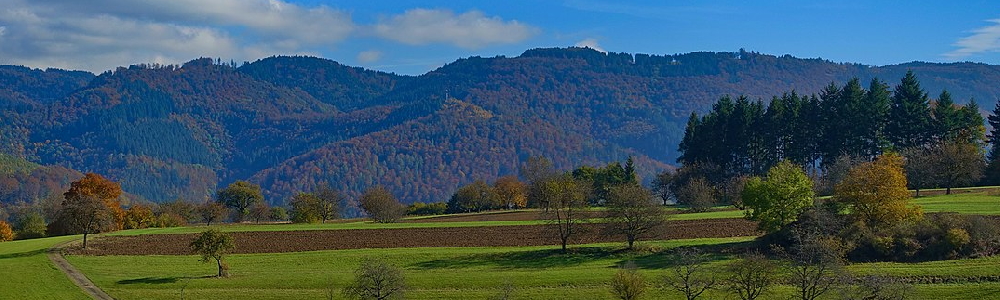 Unterkünfte in Hasel