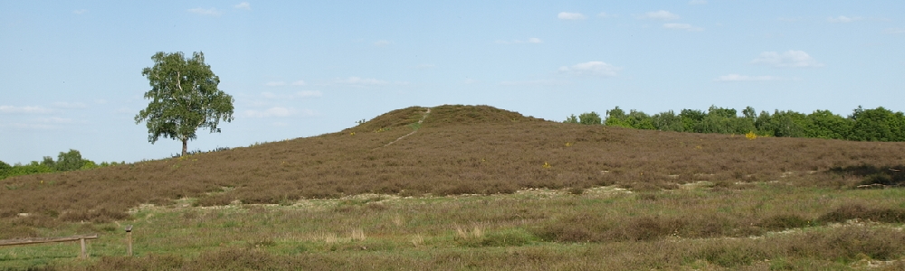 Unterkünfte in Klein Bengerstorf