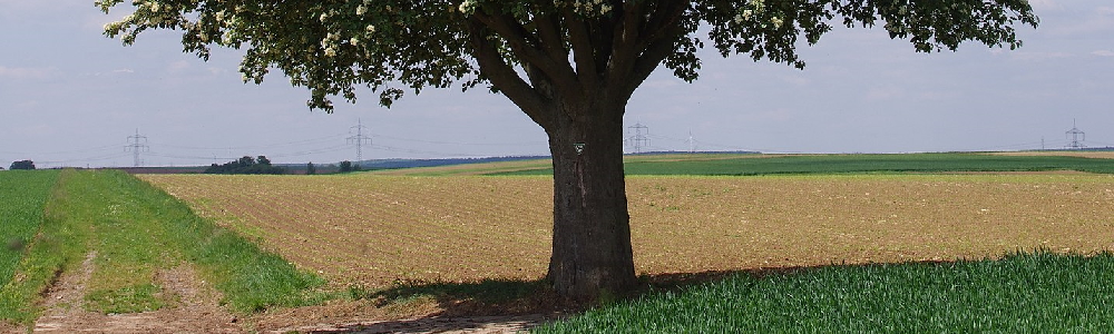 Unterkünfte in Waigolshausen