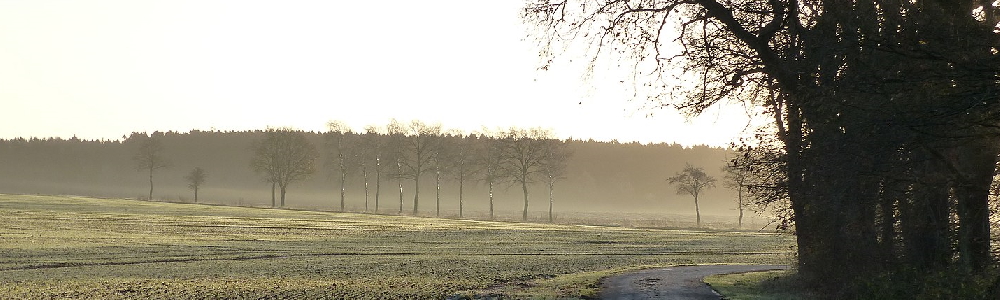 Unterkünfte in Peissen