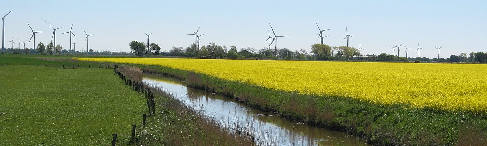 Unterkünfte in Groven