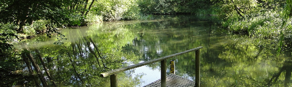 Unterkünfte in Hohen Viecheln