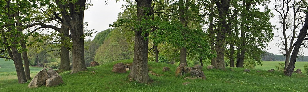 Unterkünfte in Gremersdorf-Buchholz