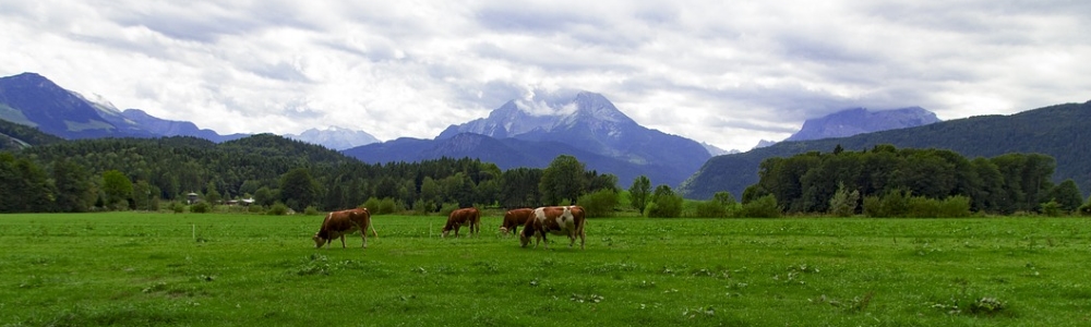 Unterkünfte in Bischofswiesen